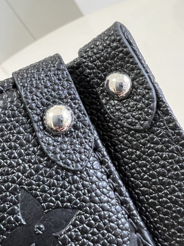 l0*is V*t0n onthego pm